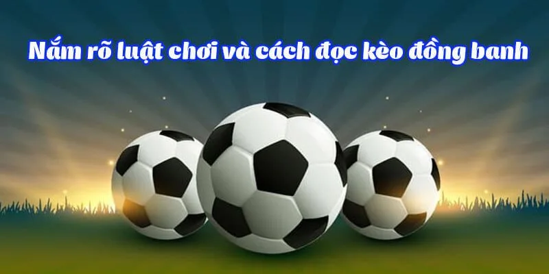 Quy luật tham gia chơi kèo cược cho newbie